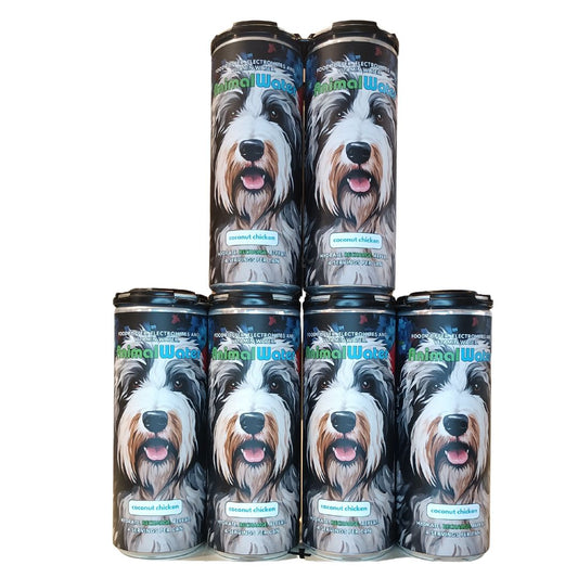 12 Stack Sheepdog Stars & Stripes Hydration for Dogs 12- Pack Coconut Chicken