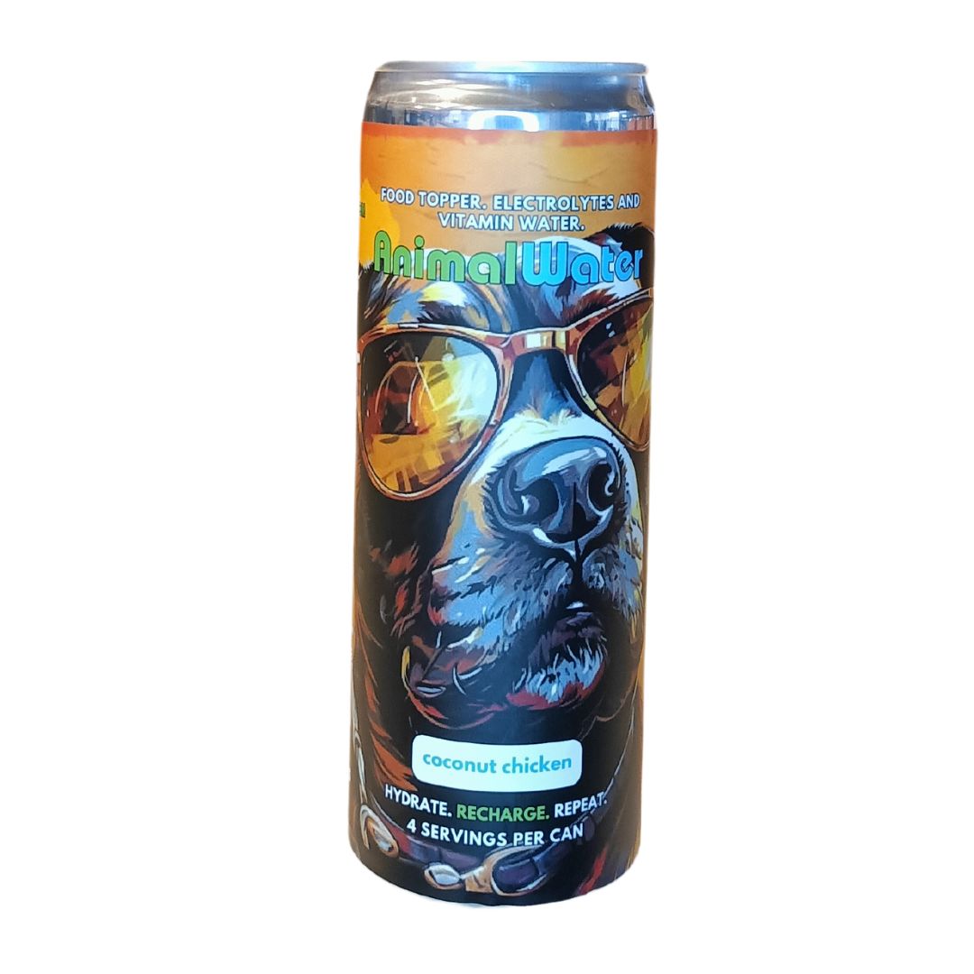 Single Lady Woof Hydration for Dogs 4- Pack Coconut Chicken