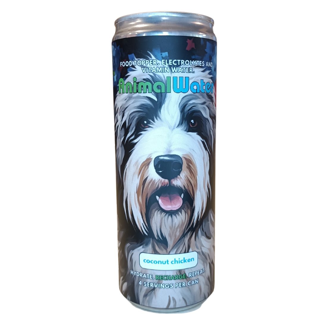 Single Shot Sheepdog Stars & Stripes Hydration for Dogs 4- Pack Coconut Chicken